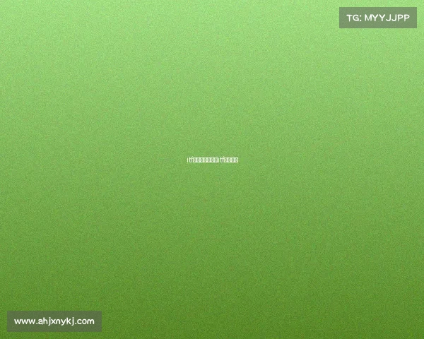 itf赛事中文官网、itf比赛级别