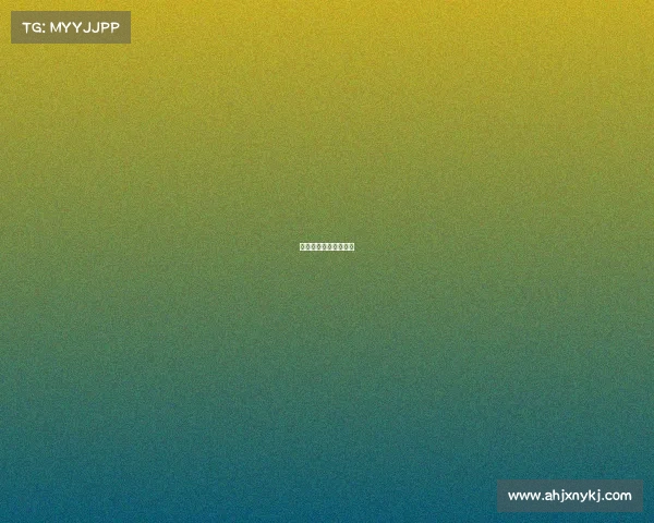 梁小龙的搏击比赛视频